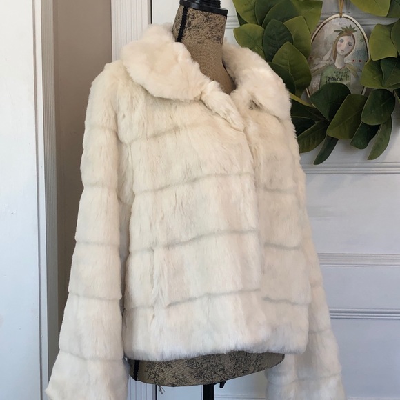 Jacket - Picture 6 of 6